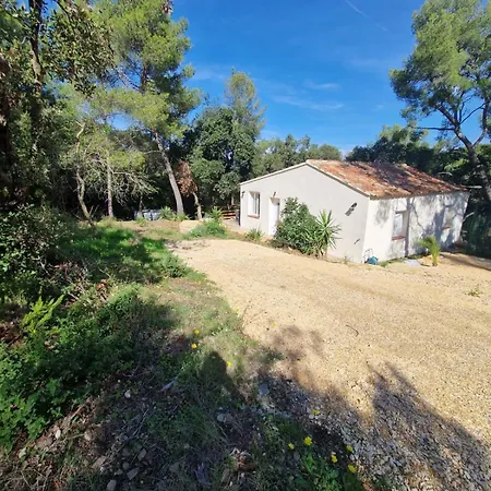 Ferienhaus Opetitparadis